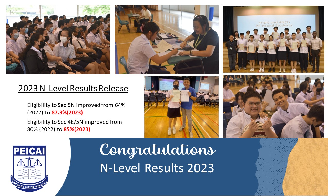 N level results 2023