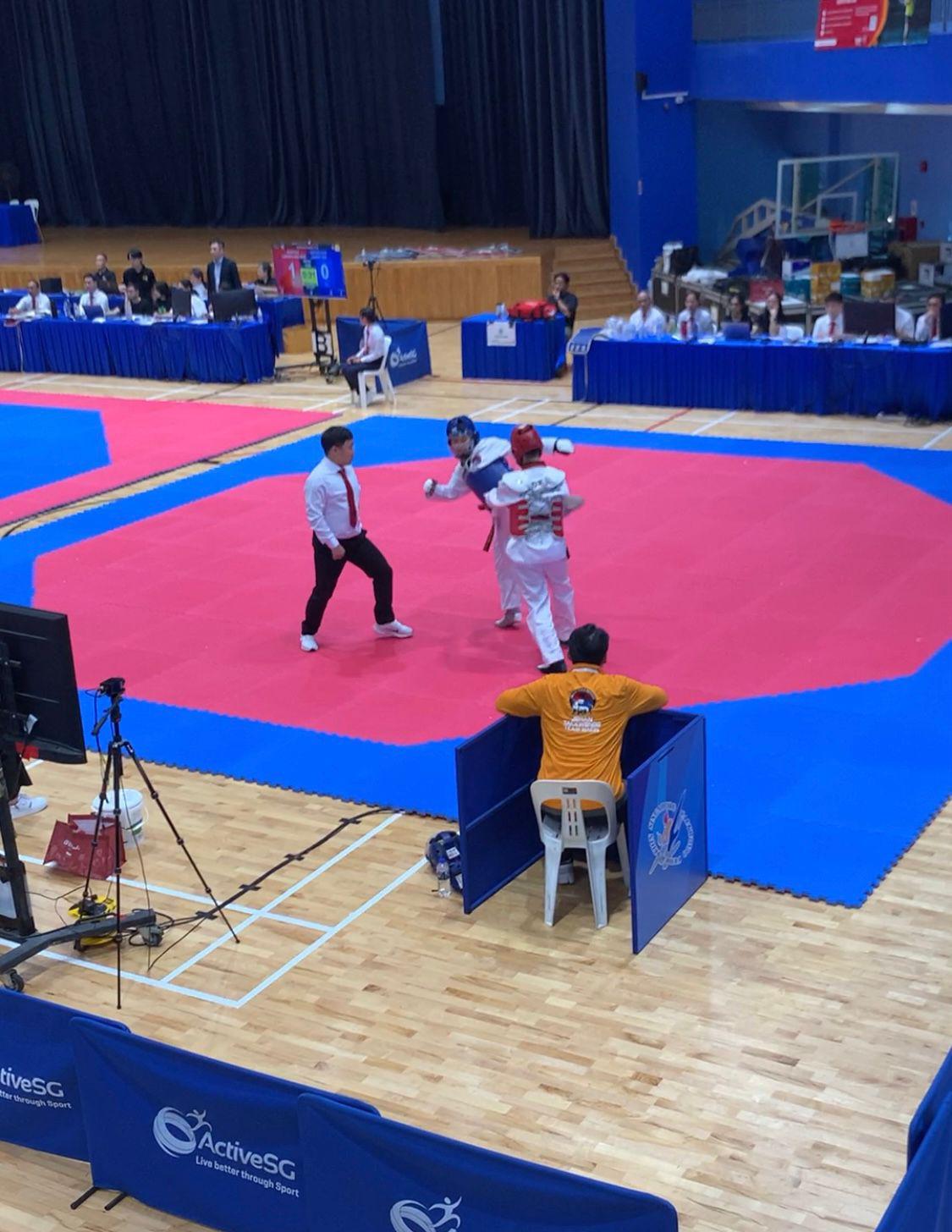 Gold medal Taekwondo match img 3